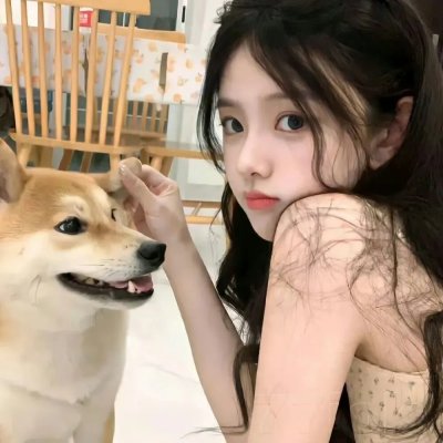 美人追