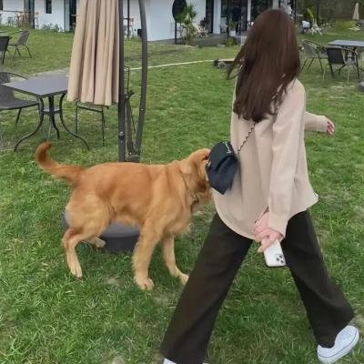 最美的安排